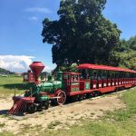 蜂ヶ峯総合公園の魅力を解剖！丸1日遊び倒そう♡【後編】