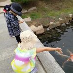 「名勝 縮景園」で鯉のエサやりを楽しもう！子どもと一緒にインスタ映えスポットの散策も♪