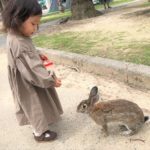 うさぎ島で癒されちゃお！竹原市大久野島へ子連れ日帰り旅行♪