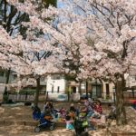 年齢バラバラの子ども連れでも大丈夫!野外でランチ会を楽しもう♪【ピクニック編】