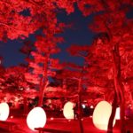 【イベント終了】「チームラボ　広島城　光の祭」で子どもといっしょに不思議な街アートを体験しよう♪