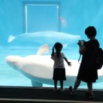 この夏、子連れで「しまね海洋館アクアス」へ！お出かけ完全ガイド♪