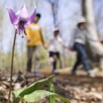 【広島県】子どもと楽しめる登山・トレッキングスポット8選