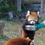 広島市安佐動物公園は家族で楽しめる魅力いっぱいのスポット！