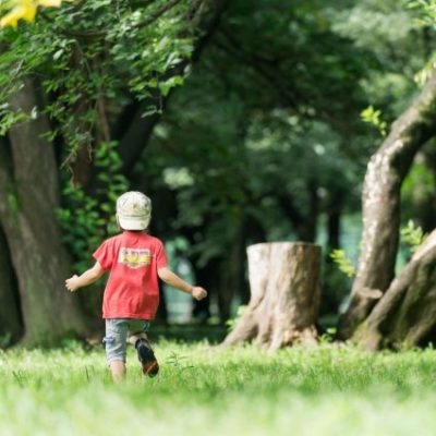 広島市植物公園ってどんなところ？四季を子供と楽しもう♪