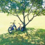 広島のサイクリングコース！子どもと走れるおすすめ12選【2026年版】