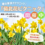 春は家族でピクニック♪日本最多級！約210万本のスイセンがお出迎え！ 「備北花ピクニック」開催中！