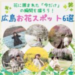 花に囲まれた「今だけ」の瞬間を撮ろう！広島お花スポット6選