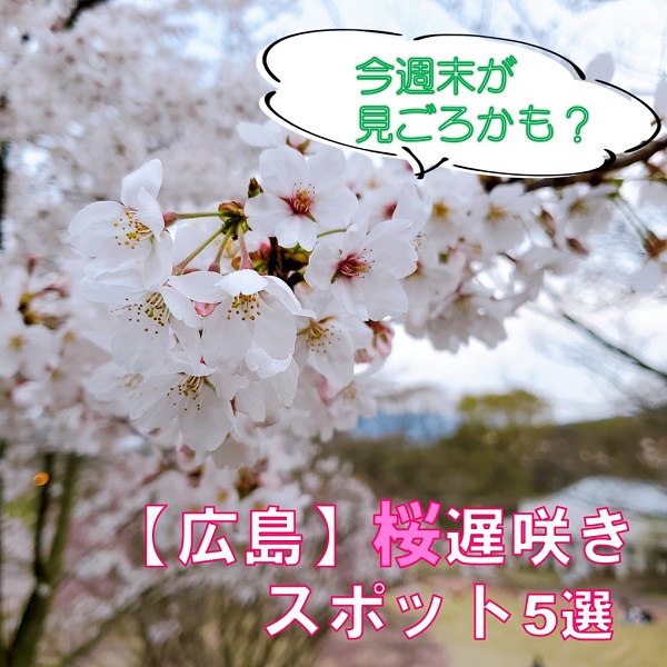 4月でもまだ間に合う 広島桜遅咲きスポット 広島ママpikabu