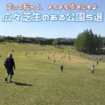 よちよち歩きの子供にぴったり！広々芝生のある公園5選