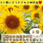 まだ間に合うひまわり畑特集♡夏休みのお出かけにおすすめスポット