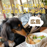 広島でペットと一緒に入れるカフェ＆レストラン4選！