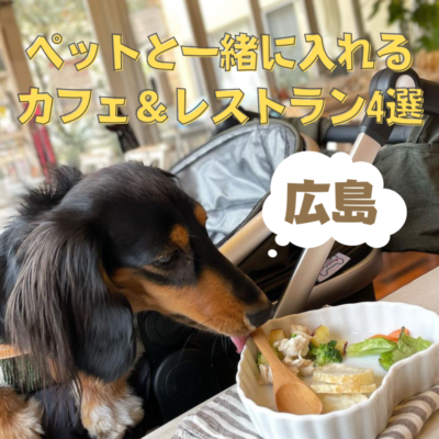 ペットと一緒に入れるカフェ レストラン4選 広島ママpikabu