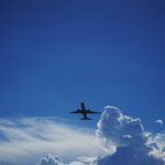 広島空港お土産10選♡雑貨・スイーツ・フード・おつまみ【2026年最新】