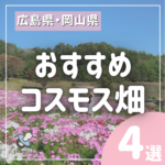 秋のお出かけにおすすめ！広島&近隣県のおすすめコスモス畑4選