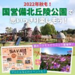 2022年秋も、備北丘陵公園で思いっきり楽しもう！「備北コスモスピクニック」開催中！