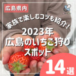 【2023年】広島のいちご狩りスポット14選！家族で楽しむコツも紹介