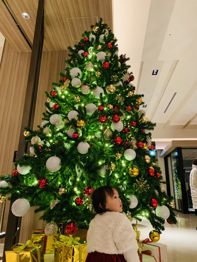 広島 クリスマスディナー