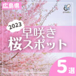 【2023】広島の早咲きの桜スポット5選！ひと足早く春を感じて♡