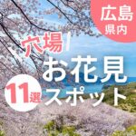 【広島】お花見の穴場スポット11選！絶景広がる夜桜やドライブも♡