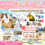 4/8・9動物の赤ちゃん、サイエンスショーもやってくる！【ちゅーピー住宅展示場】スプリングフェア開催♡