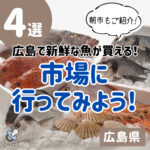 広島で獲れたての新鮮な魚が買える！おすすめの朝市や市場を紹介