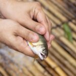 広島＆近県で魚のつかみ取り体験ができるスポット4選！