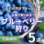 いちごの次はブルーベリー！広島で楽しめるブルーベリー狩り5選