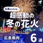 冬こそ見たい♡広島から行ける超感動の花火6選！