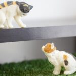 にゃんと可愛らしい！広島で猫雑貨が買えるお店5選