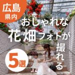 映え写真を撮ろう！広島でおしゃれな花畑フォトが撮れるスポット5選