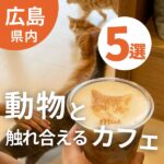小動物・猛禽類・爬虫類まで！広島で動物と触れ合えるカフェ5選