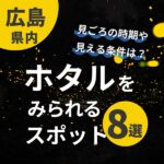 広島県でホタルをみられるスポット8選！見ごろの時期や見える条件は？