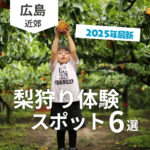 梨狩り体験！広島にこの時期がやってきた！2025年の最新スポット6選