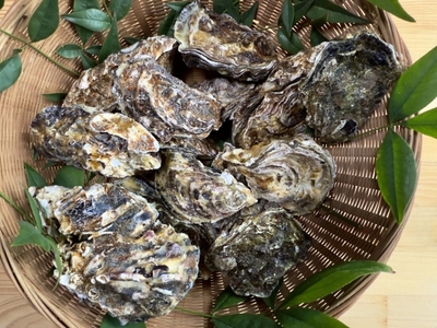広島　魅力