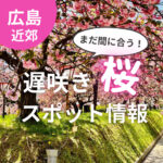 今週末が見ごろかも♡まだまだ花見に間に合う広島桜遅咲きスポット情報