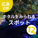 広島県でホタルをみられるスポット12選！見ごろの時期や見える条件は？
