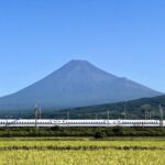 広島から出て静岡で過ごす夏休み！親子で楽しめる自然体験スポット10選