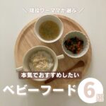 ベビーフードおすすめ6選！共働きママのベストバイをご紹介