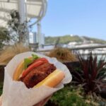 ミナモアの子連れに優しいランチ店7選！和洋中が揃い子どもも喜ぶ