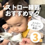 ストローマグの練習に大活躍！工夫したポイント＆おすすめグッズ3選