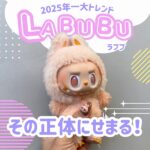 2025年一大トレンド「ラブブ」の正体に迫る！広島でも買える？