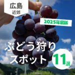 広島＆近郊のぶどう狩りスポットおすすめ11選【2025最新】