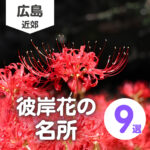 広島の彼岸花の名所6選!赤色に染まる秋の絶景スポットを楽しもう