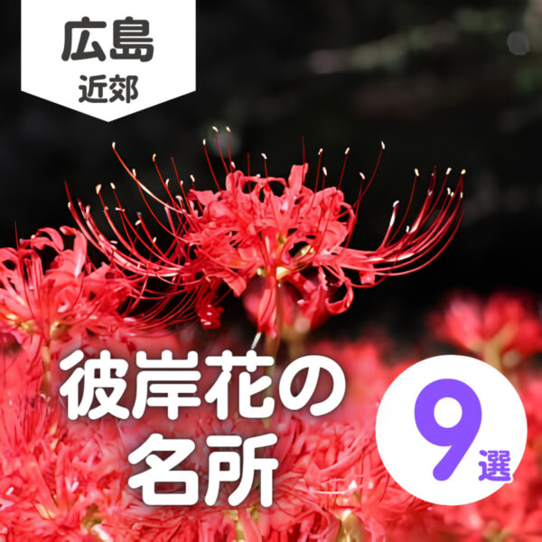 広島の彼岸花の名所6選！赤色に染まる秋の絶景スポットを楽しもう