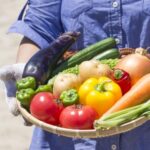 【食費節約術】田舎暮らしのママが教える家庭菜園!道具や育て方とは