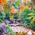広島の紅葉をドライブで巡る♪秋の絶景スポット11選【2026年最新】