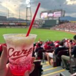 広島のスポーツ観戦6選！親子で盛り上がる迫力満点の試合