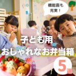 子ども用お弁当箱もおしゃれがいい！選び方とおすすめ5選を紹介