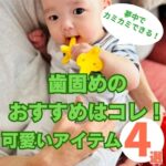 歯固めのおすすめはコレ！夢中でカミカミできる可愛いアイテム4選